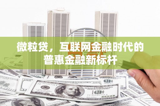 仙居微粒贷，互联网金融时代的普惠金融新标杆