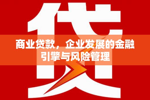 仙居商业贷款，企业发展的金融引擎与风险管理
