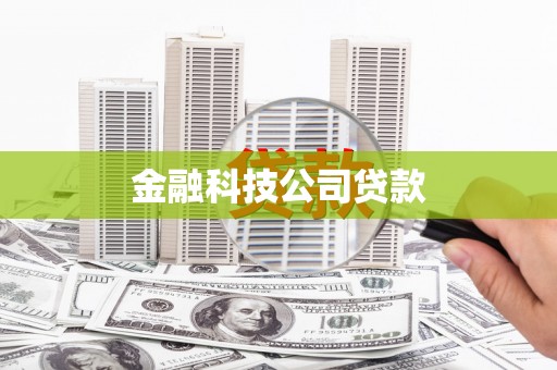 仙居金融科技公司贷款