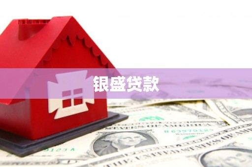 仙居银盛贷款