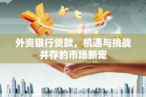 仙居外资银行贷款，机遇与挑战并存的市场新宠