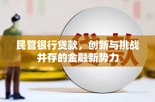 仙居民营银行贷款，创新与挑战并存的金融新势力