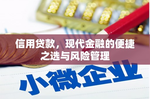 仙居信用贷款，现代金融的便捷之选与风险管理