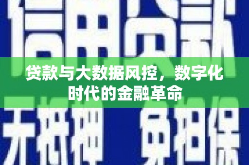 仙居贷款与大数据风控，数字化时代的金融革命