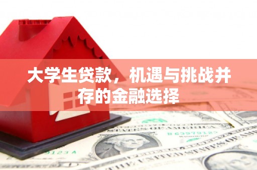 仙居大学生贷款，机遇与挑战并存的金融选择