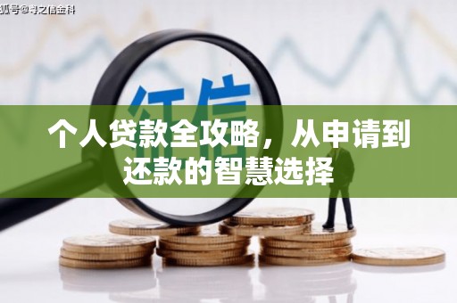 仙居个人贷款全攻略，从申请到还款的智慧选择