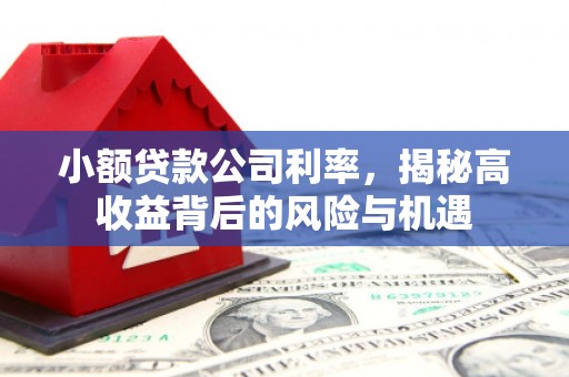 仙居小额贷款公司利率，揭秘高收益背后的风险与机遇