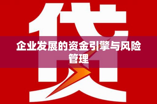 仙居企业发展的资金引擎与风险管理