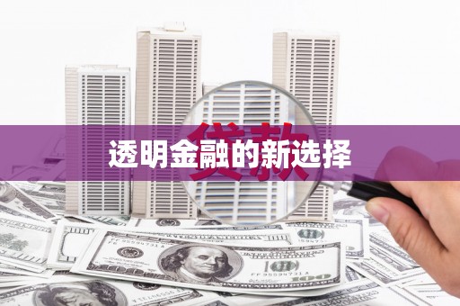 仙居透明金融的新选择