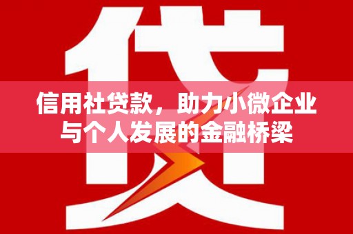 仙居信用社贷款，助力小微企业与个人发展的金融桥梁