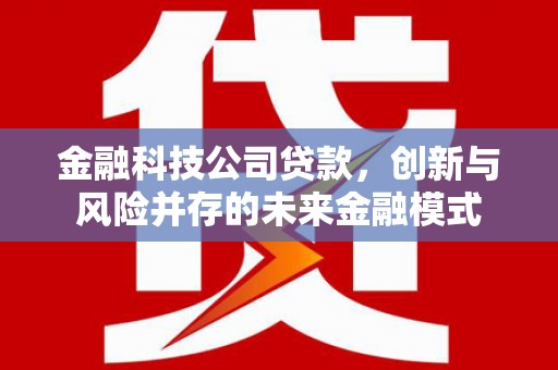 仙居金融科技公司贷款，创新与风险并存的未来金融模式