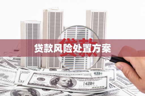 仙居贷款风险处置方案