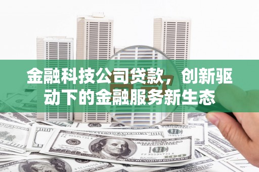 仙居金融科技公司贷款，创新驱动下的金融服务新生态