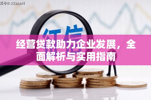 仙居经营贷款助力企业发展，全面解析与实用指南