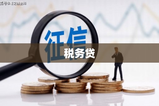 仙居税务贷