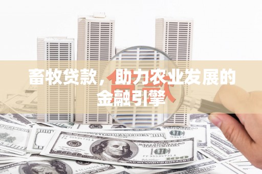 仙居畜牧贷款，助力农业发展的金融引擎