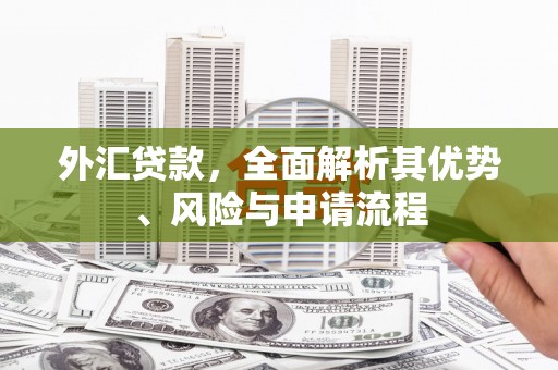 仙居外汇贷款，全面解析其优势、风险与申请流程