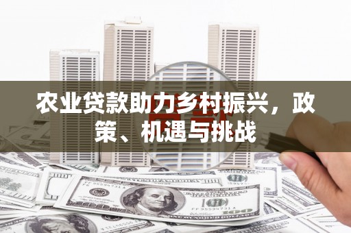 仙居农业贷款助力乡村振兴，政策、机遇与挑战