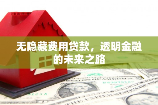 仙居无隐藏费用贷款，透明金融的未来之路