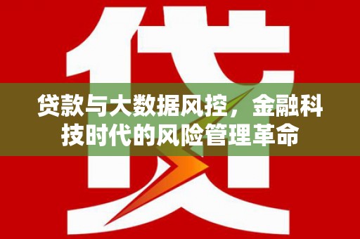 仙居贷款与大数据风控，金融科技时代的风险管理革命