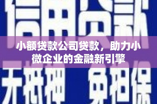 仙居小额贷款公司贷款，助力小微企业的金融新引擎