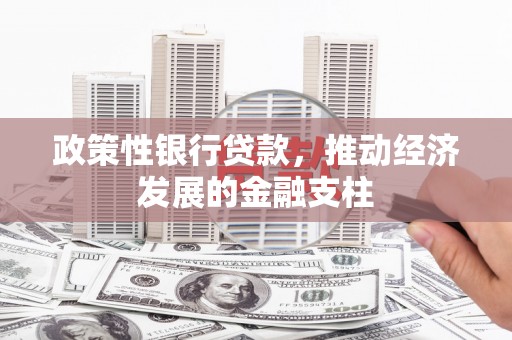 仙居政策性银行贷款，推动经济发展的金融支柱