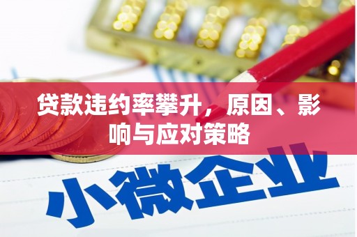 仙居贷款违约率攀升，原因、影响与应对策略