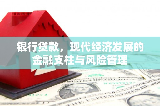 仙居银行贷款，现代经济发展的金融支柱与风险管理