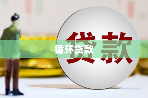 仙居循环贷款