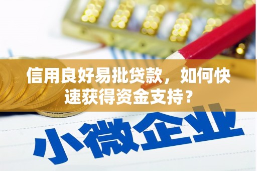 仙居信用良好易批贷款，如何快速获得资金支持？