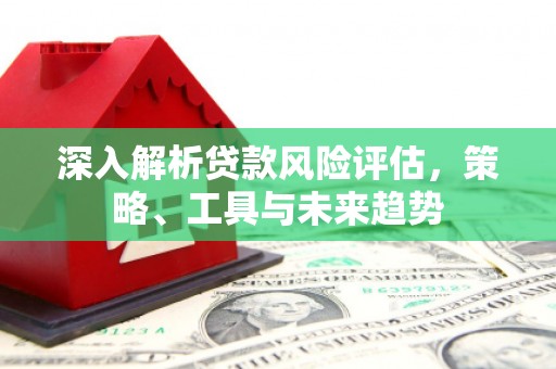 仙居深入解析贷款风险评估，策略、工具与未来趋势