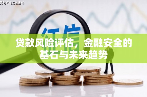 仙居贷款风险评估，金融安全的基石与未来趋势