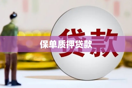 仙居保单质押贷款