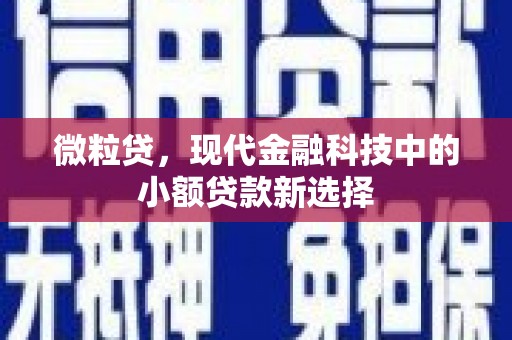 仙居微粒贷，现代金融科技中的小额贷款新选择