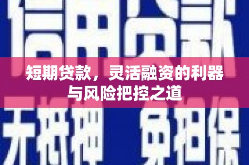 仙居短期贷款，灵活融资的利器与风险把控之道