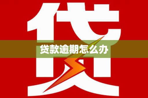 仙居贷款逾期怎么办