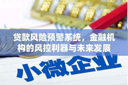 仙居贷款风险预警系统，金融机构的风控利器与未来发展