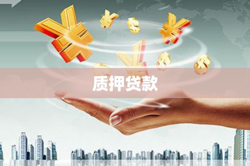 仙居质押贷款