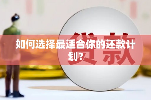 仙居如何选择最适合你的还款计划？