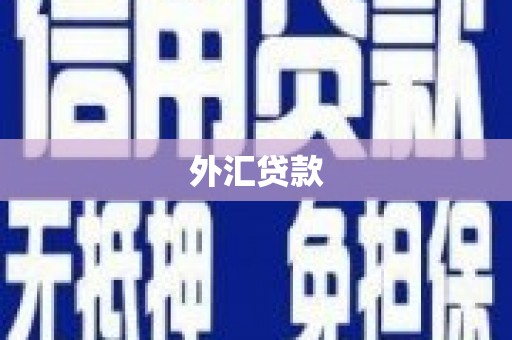 仙居外汇贷款