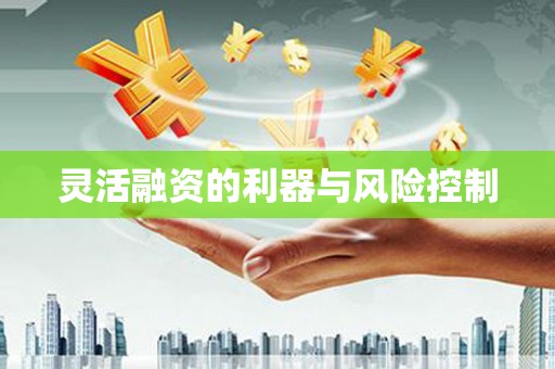 仙居灵活融资的利器与风险控制