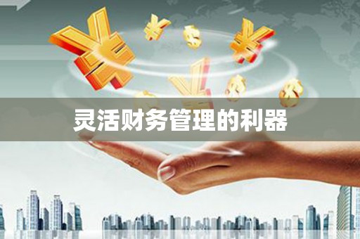 仙居灵活财务管理的利器