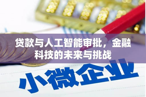 仙居贷款与人工智能审批，金融科技的未来与挑战