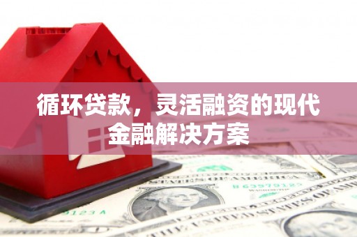 仙居循环贷款，灵活融资的现代金融解决方案