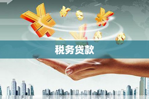 仙居税务贷款