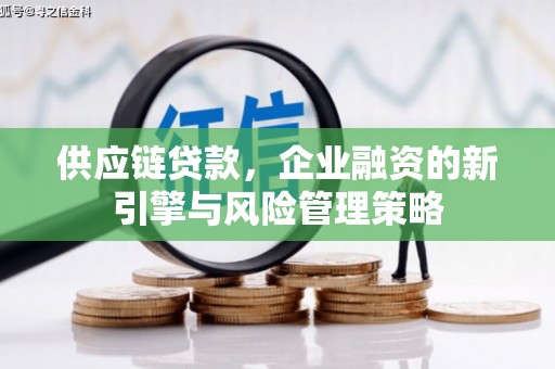 仙居供应链贷款，企业融资的新引擎与风险管理策略