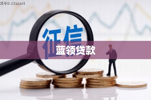 仙居蓝领贷款