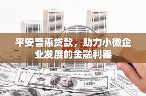 仙居平安普惠贷款，助力小微企业发展的金融利器