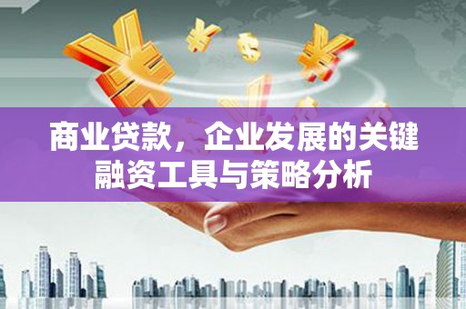 仙居商业贷款，企业发展的关键融资工具与策略分析