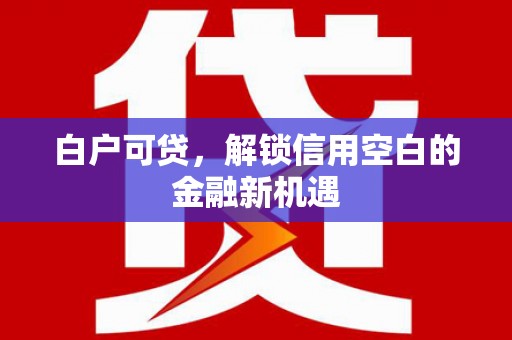 仙居白户可贷，解锁信用空白的金融新机遇